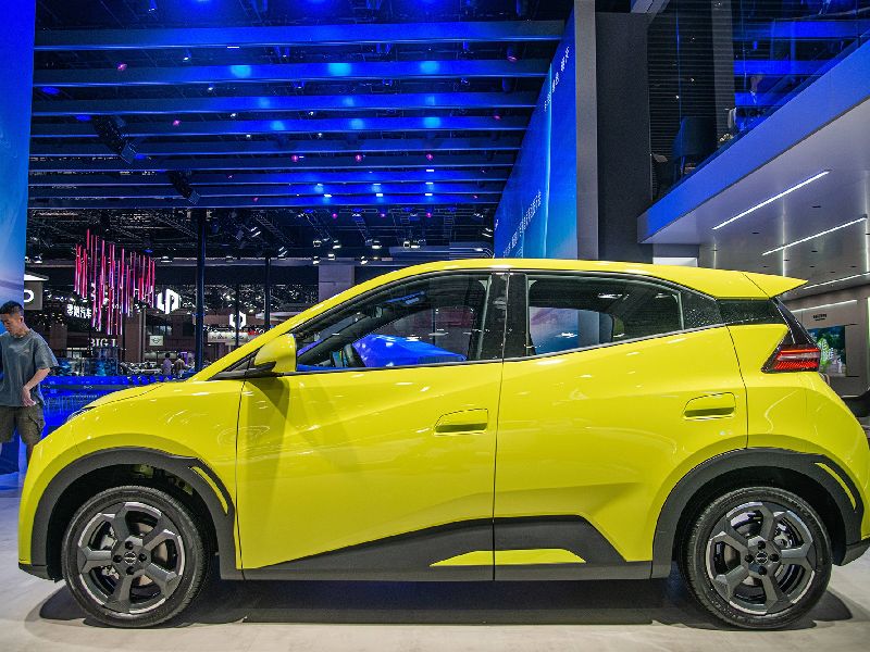 BYD Dolphin Surf