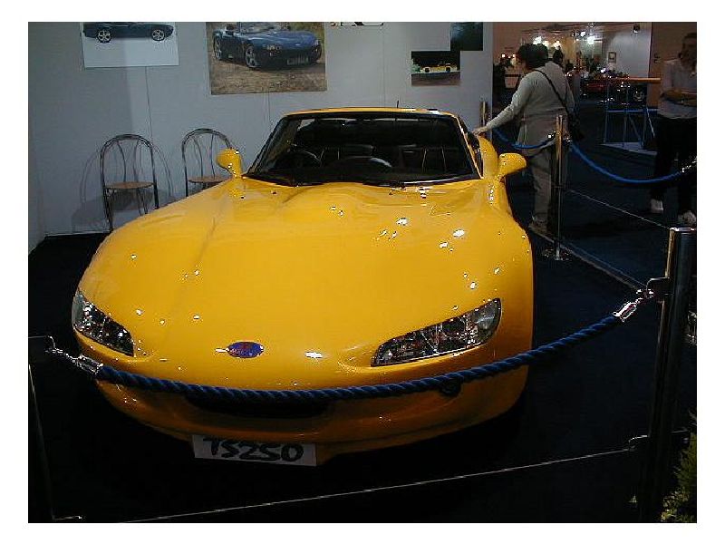 Marcos TS 250