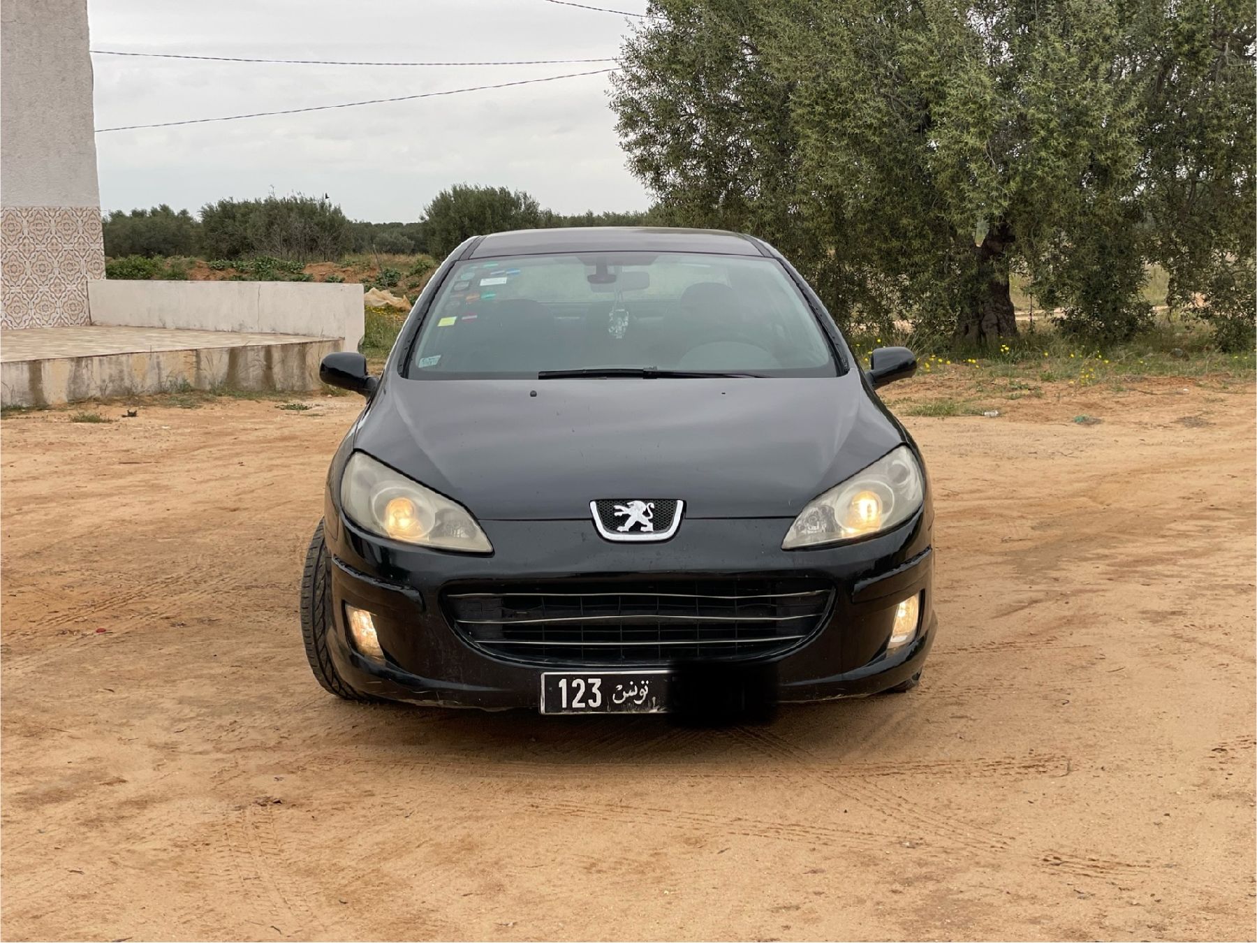 Peugeot 407 1.6 HDi (109 Hp)
