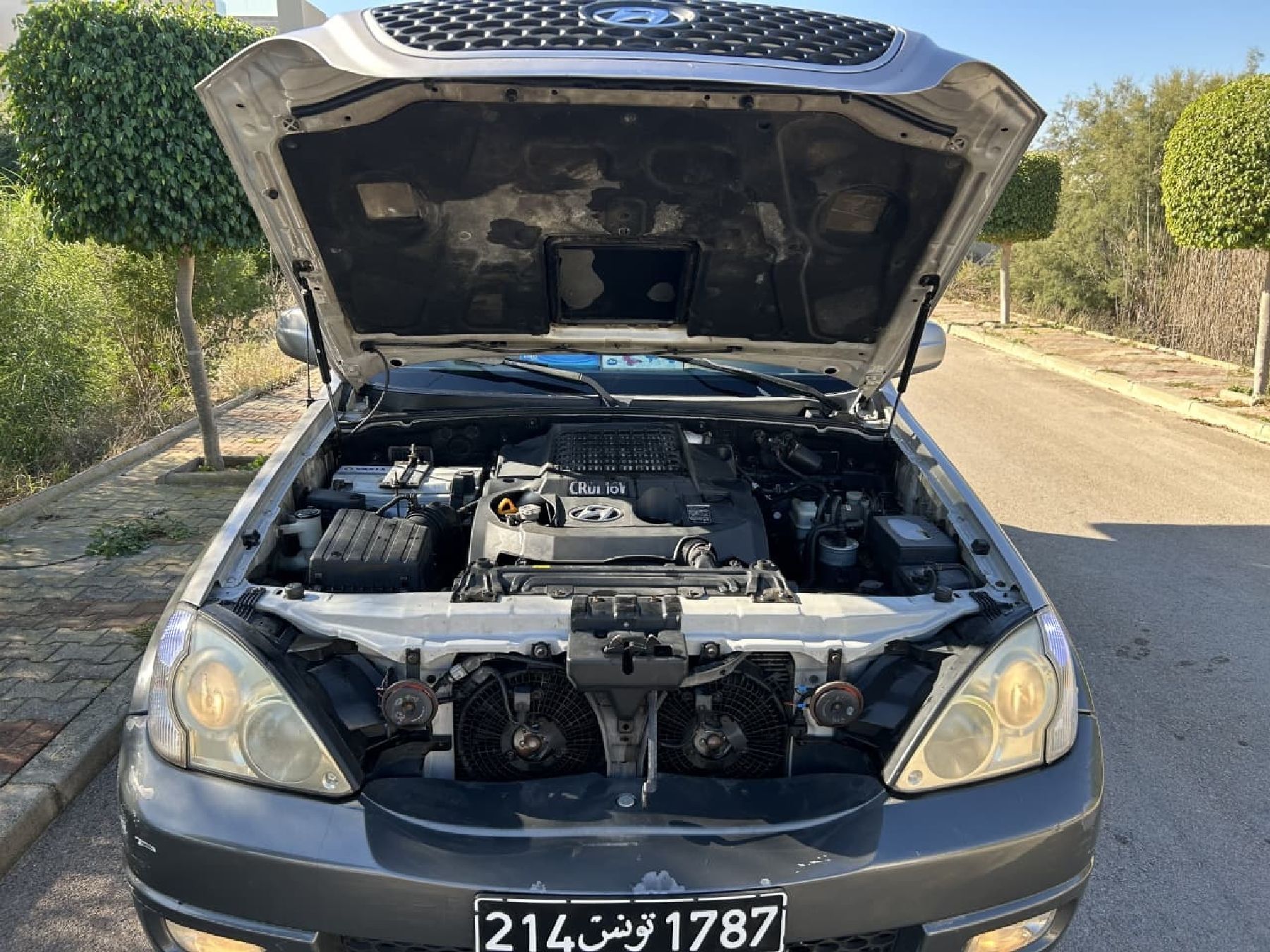 Hyundai Terracan 2.9 CRDi (163 CH)