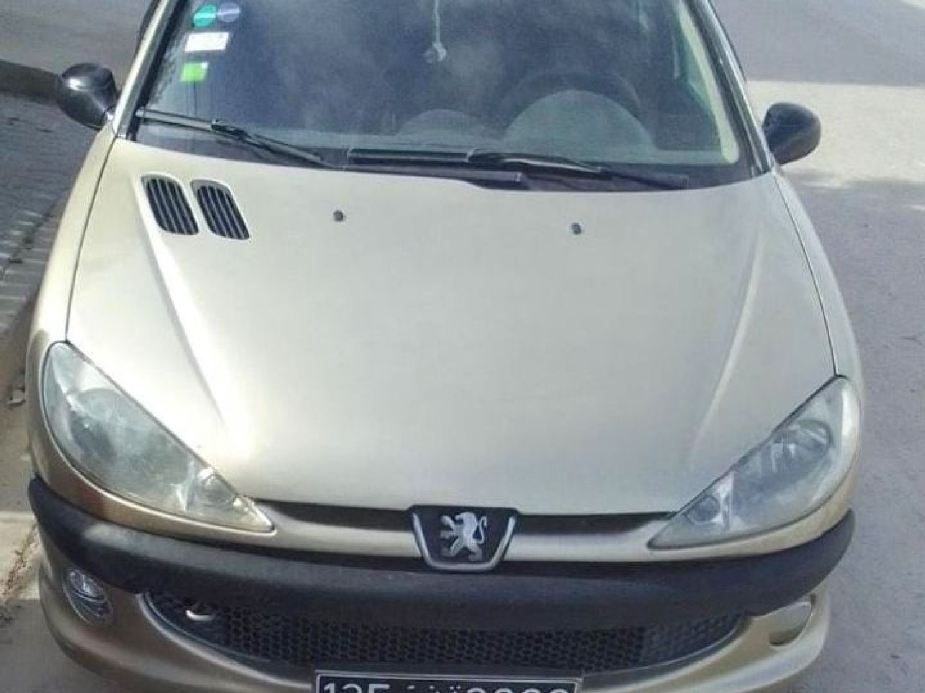 Peugeot 206 1.4i (75 Hp)
