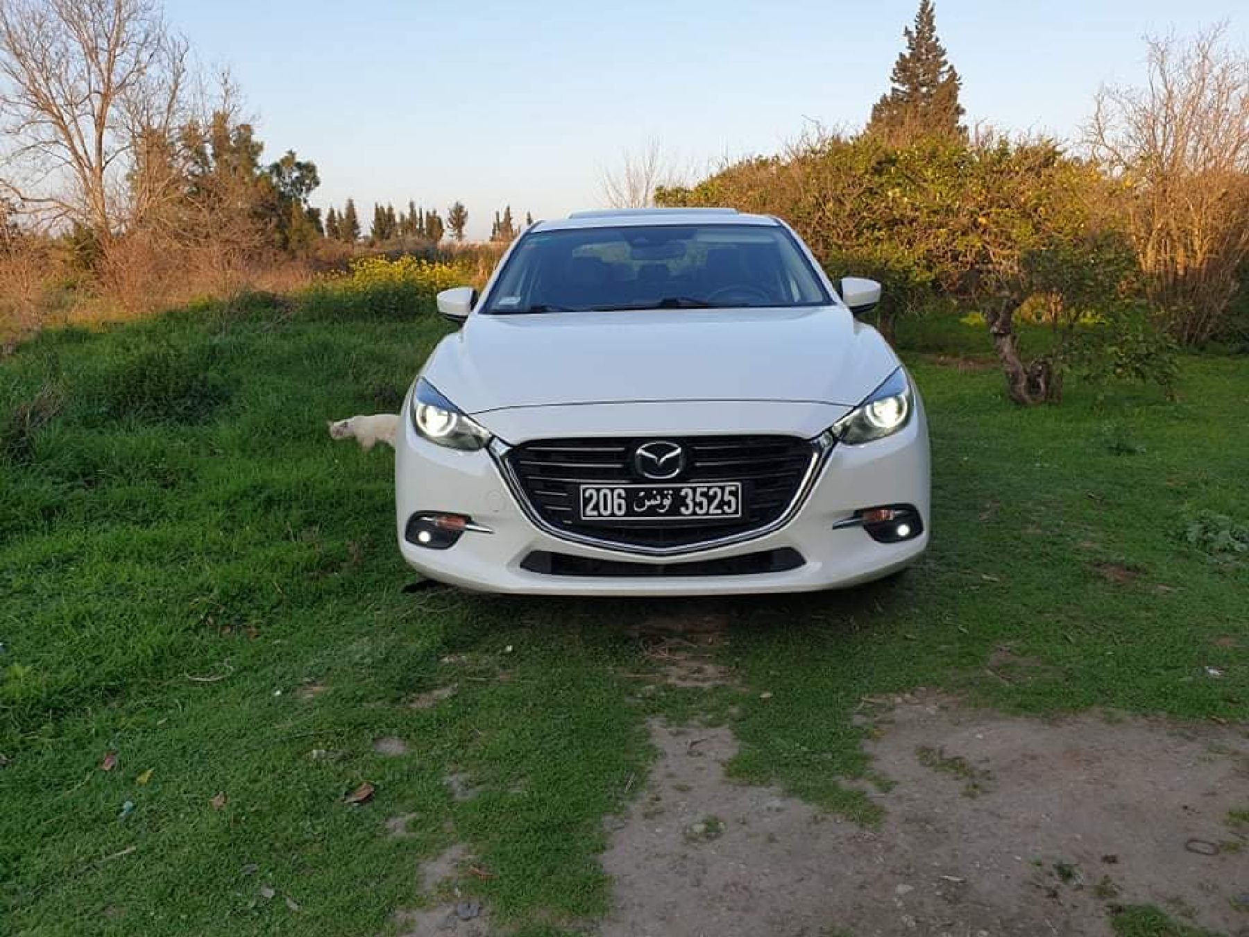 Mazda 3 1.5 SkyActiv-D (105 Hp)