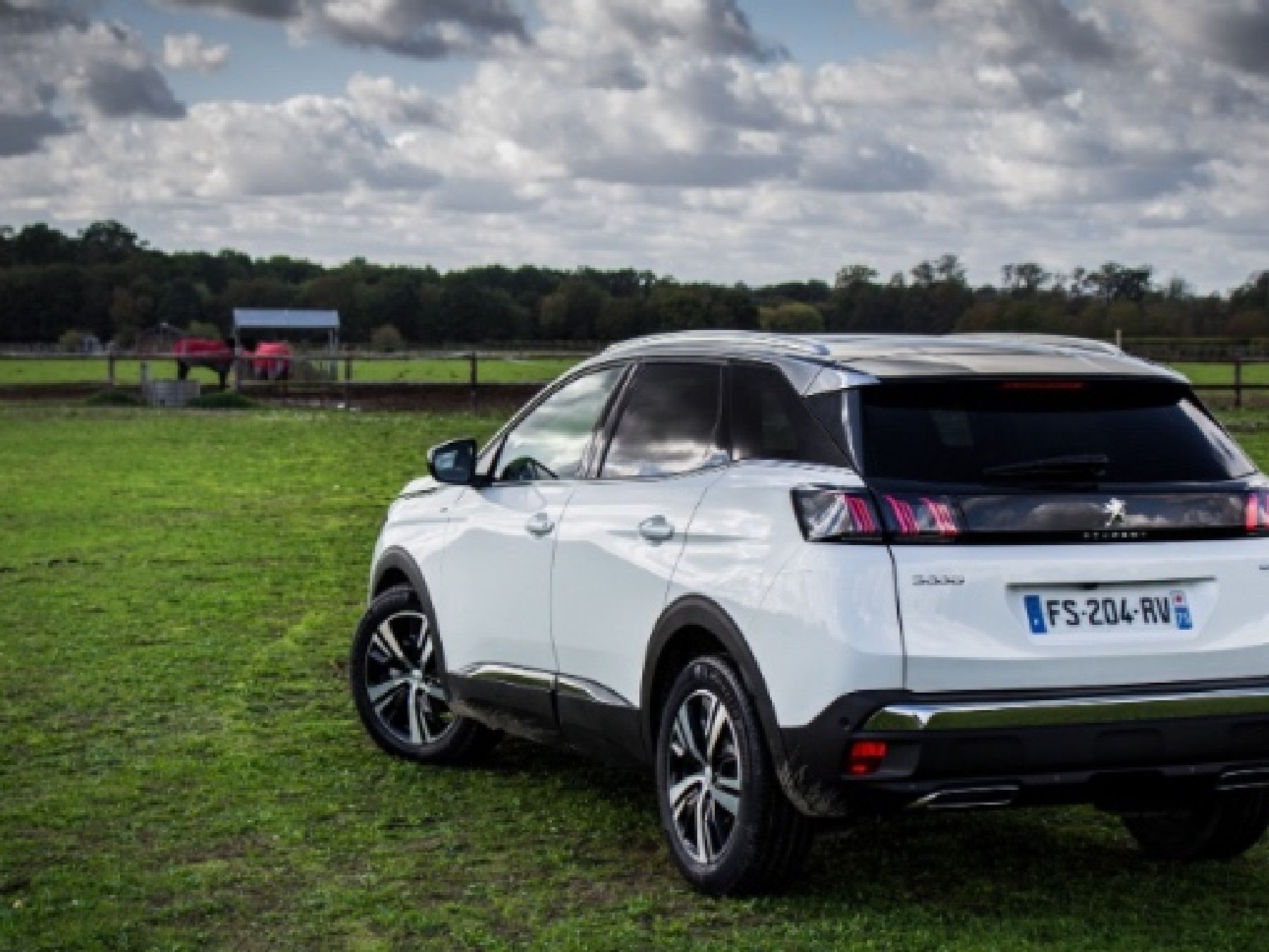 Peugeot 3008 1.5 BlueHDi (131 CH) Automatic
