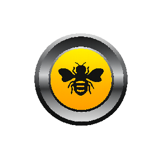 Bee Bee