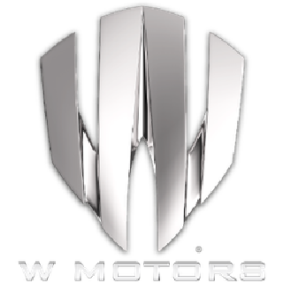 W Motors