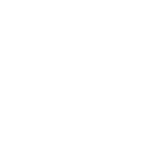 BelGee