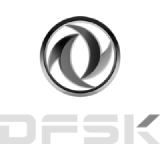 DFSK