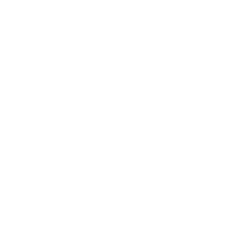 De Lorean