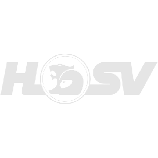 HSV