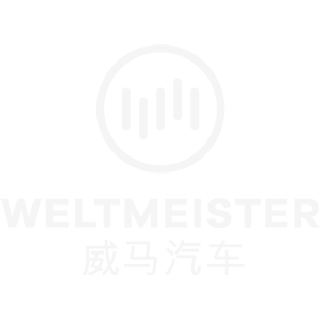 Weltmeister